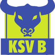 (c) Ksv-berghausen.de